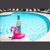 French Pool Toy